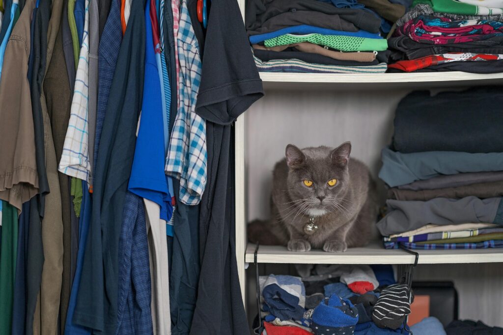 Decluttering Your Closet Before the Holidays Is Self Care Pexels Faizal Ortho 2936165 4467474 1024x683