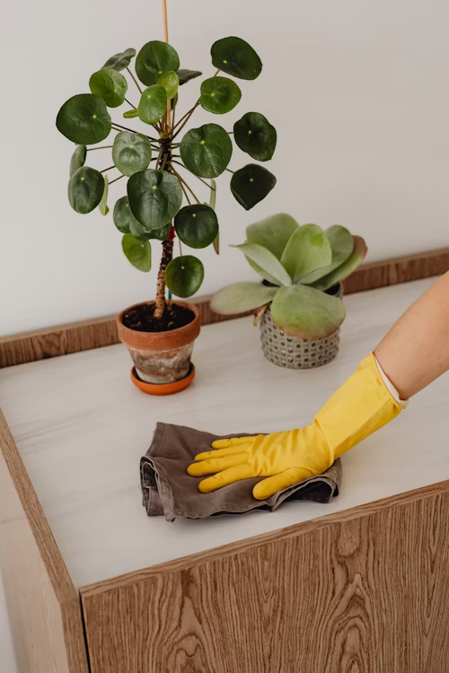 The Science of Dirt: Why Routine Cleaning Wins Every Time
